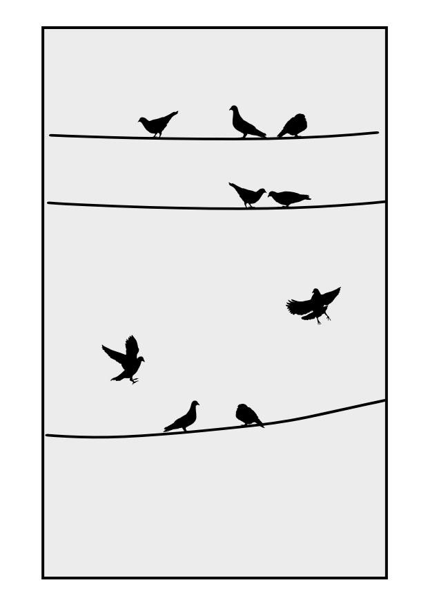 palomas Dibujo para colorear palomas