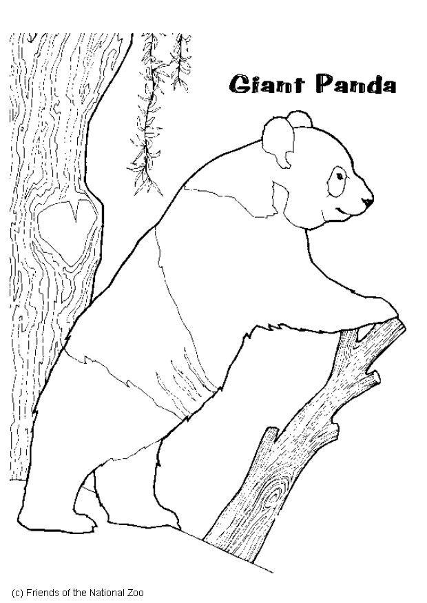 Dibujo para colorear panda