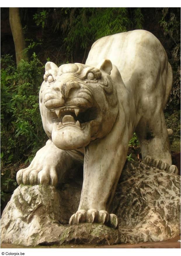 parque de tigres leshan Foto parque de tigres leshan