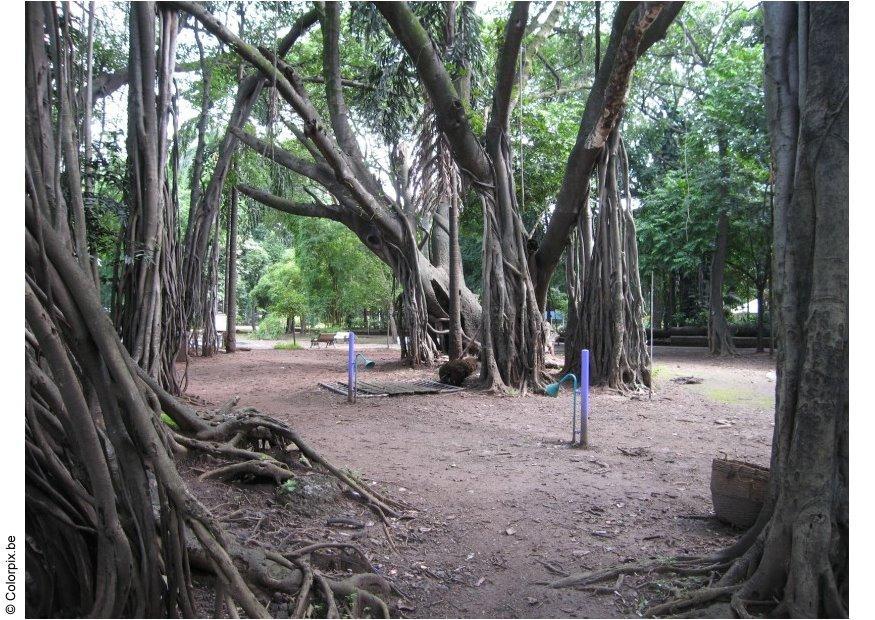 parque puna Foto parque puna