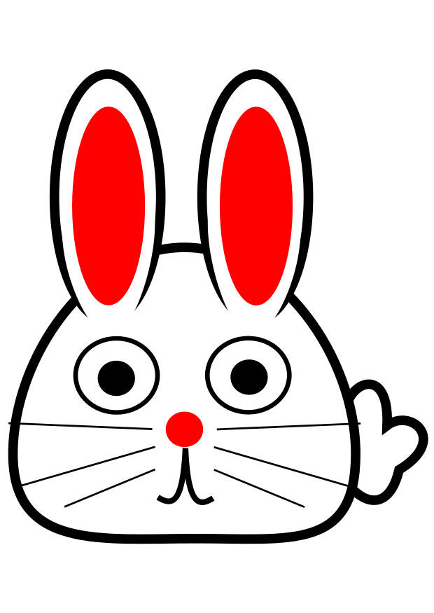 Imagen parte frontal de conejo