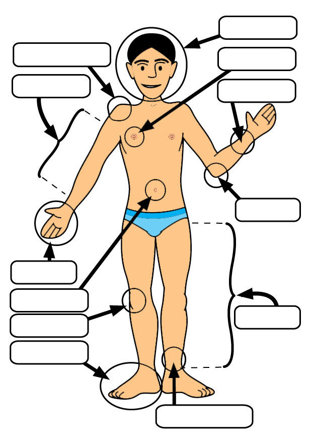 Imagen partes del cuerpo