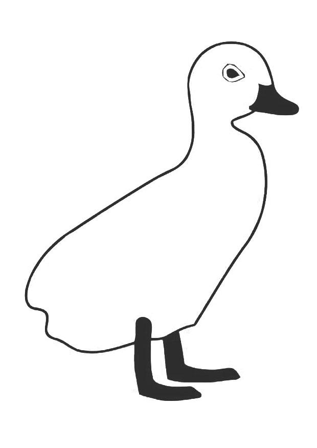 patito Dibujo para colorear patito
