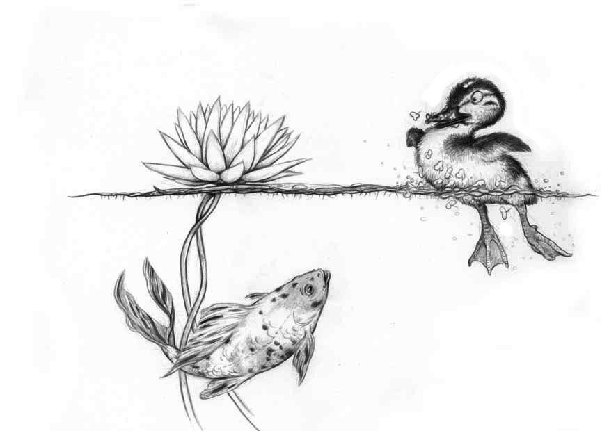 Dibujo para colorear patito y pez