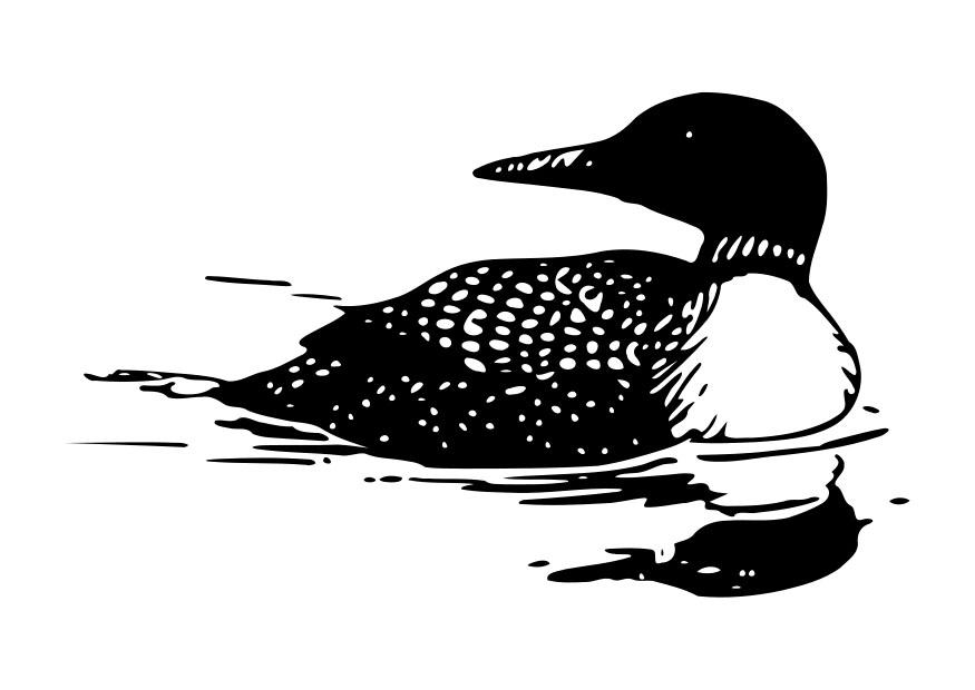 pato Dibujo para colorear pato