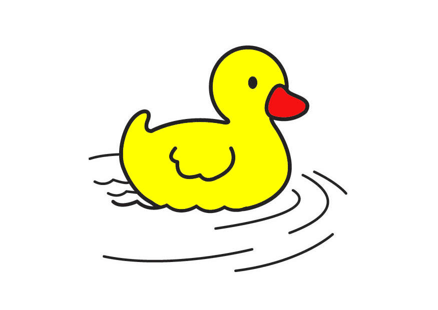 pato Imagen pato