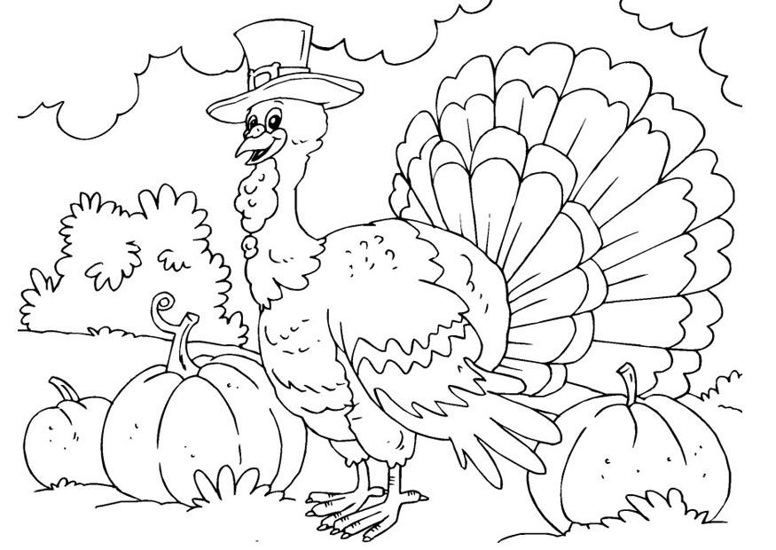 pavo Dibujo para colorear pavo