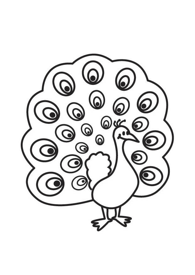 pavo real Dibujo para colorear pavo real