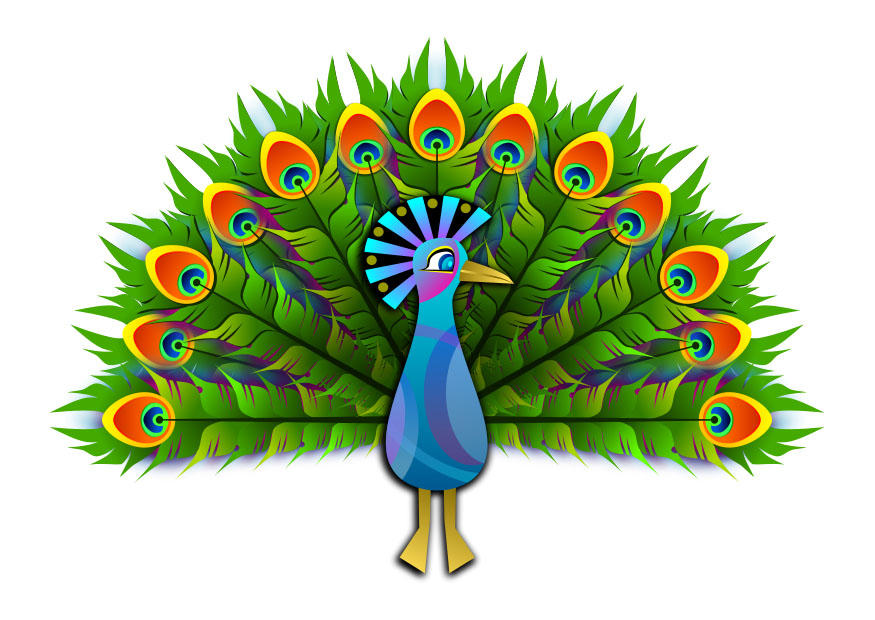 pavo real Imagen pavo real