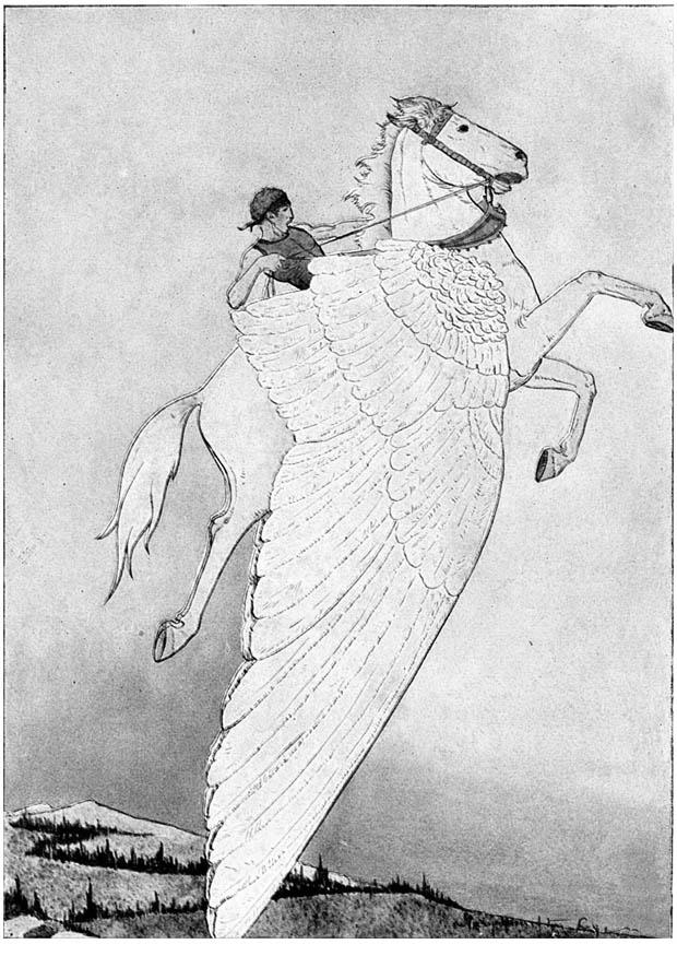 pegaso en caballo alado Dibujo para colorear pegaso en caballo alado