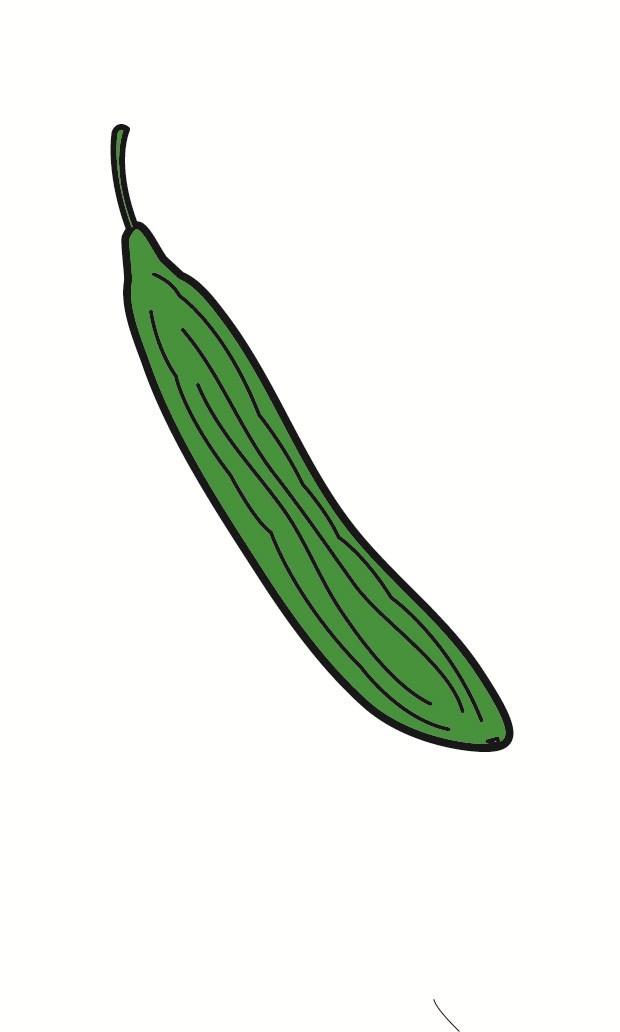 pepino Imagen pepino