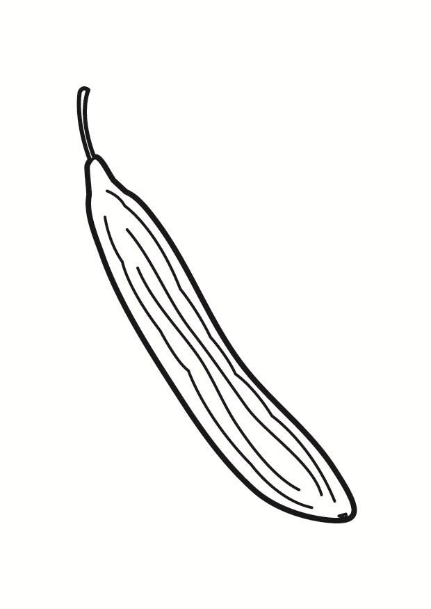 pepino Dibujo para colorear pepino