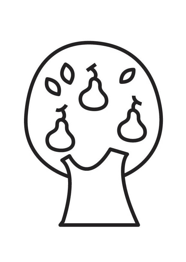 peral Dibujo para colorear peral