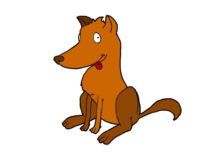 perro Imagen perro