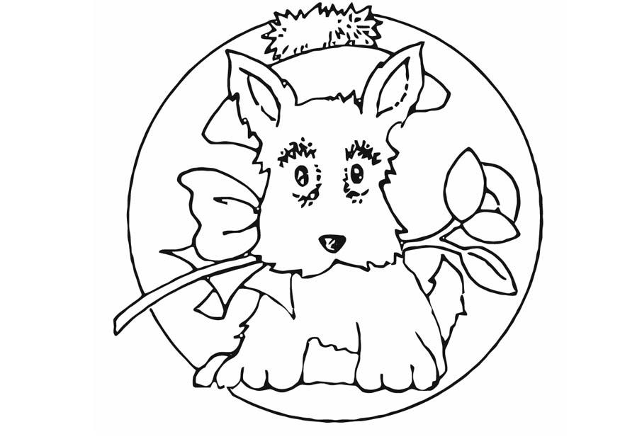 perro Dibujo para colorear perro