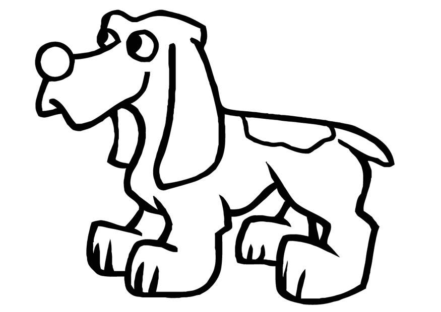 perro Dibujo para colorear perro