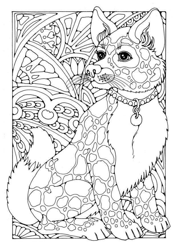 perro Dibujo para colorear perro