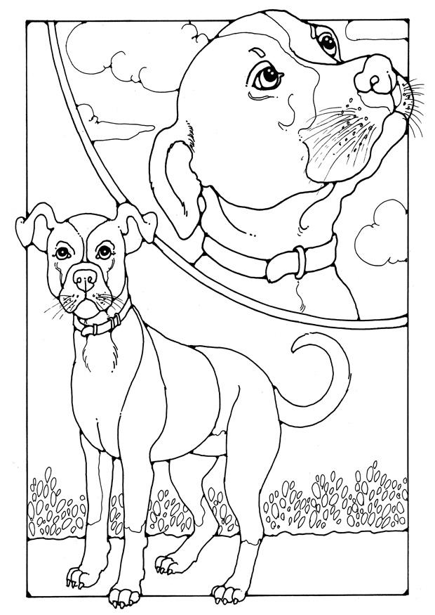 perro Dibujo para colorear perro