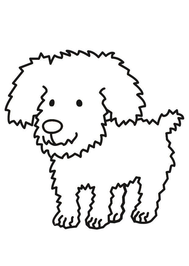 perro Dibujo para colorear perro