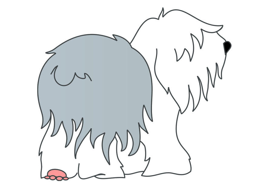 perro - bobtail Imagen perro - bobtail