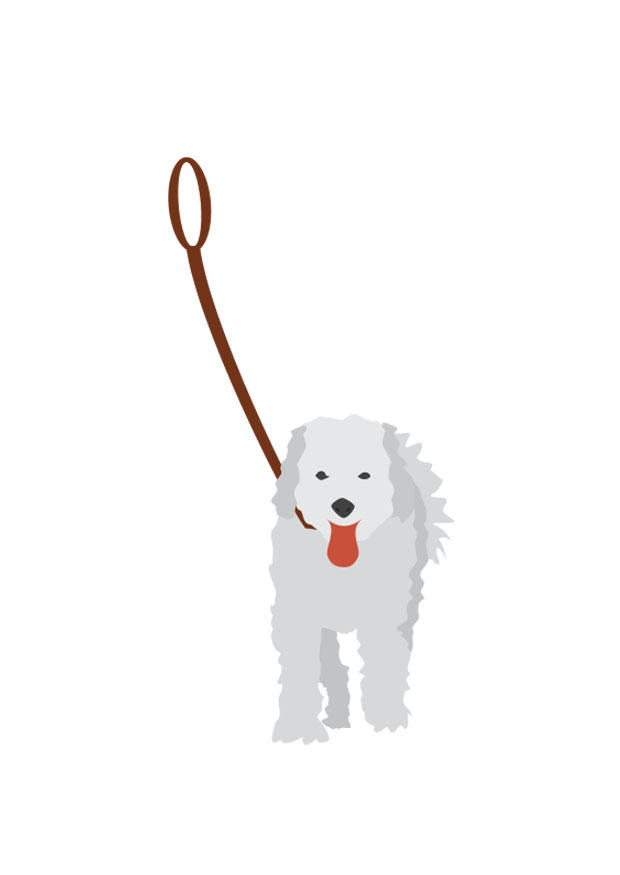 perro con correa Imagen perro con correa