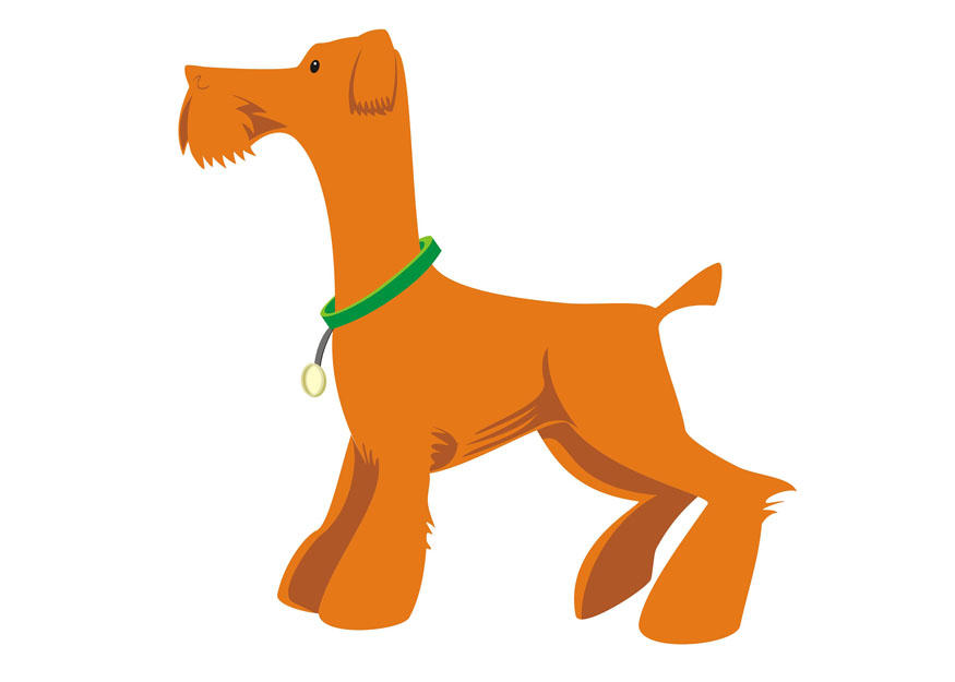 perro- levantarse Imagen perro- levantarse