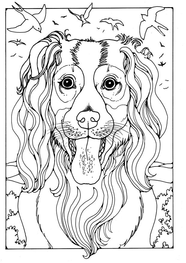 perro pastor Dibujo para colorear perro pastor