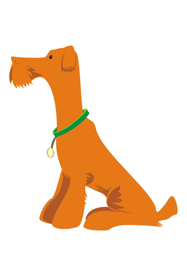 perro- sentarse Imagen perro- sentarse
