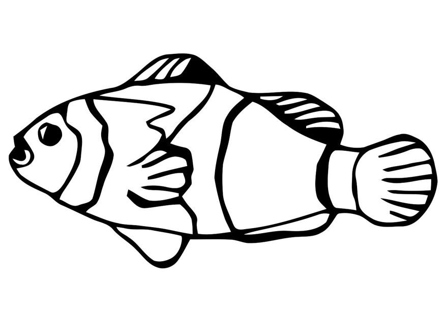 pez - carpa dorada Dibujo para colorear pez - carpa dorada