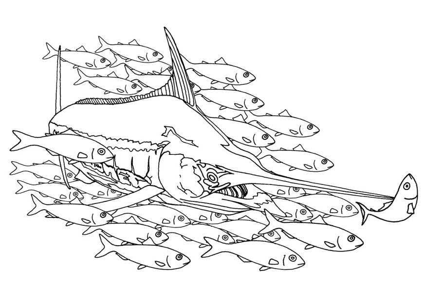 Dibujo para colorear pez espada pescando en red