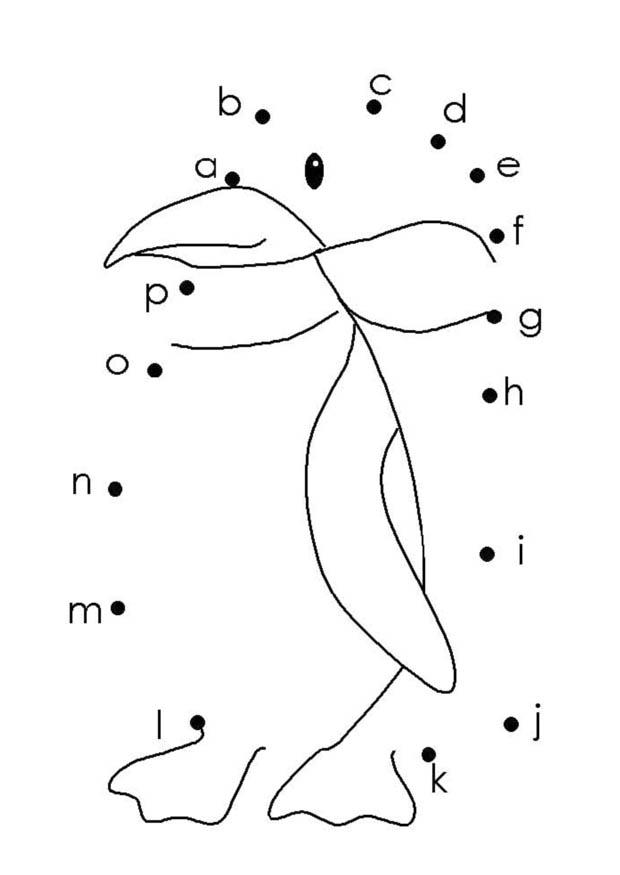 pingA¼ino Dibujo para colorear pingA¼ino