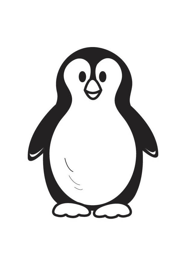 pingA¼ino Dibujo para colorear pingA¼ino