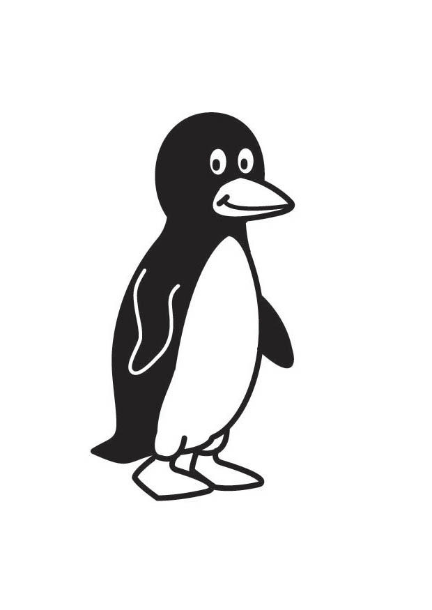 pingA¼ino Dibujo para colorear pingA¼ino