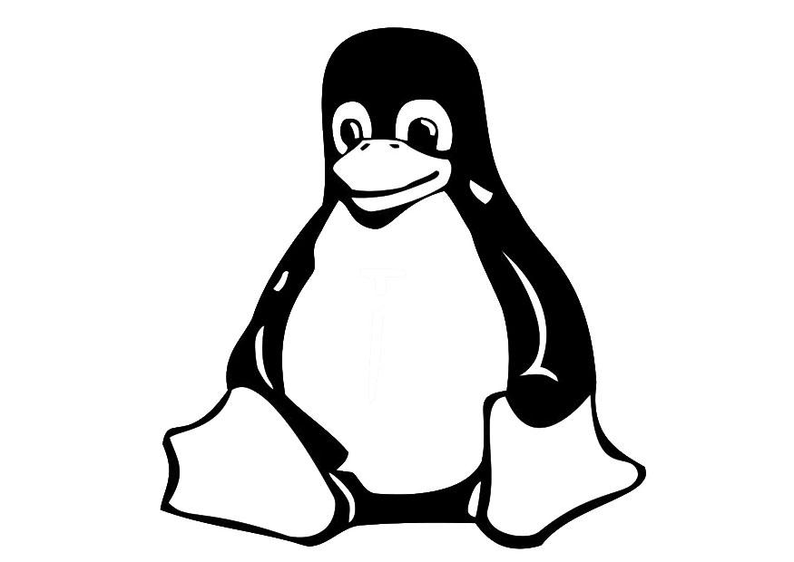 pingA¼ino Dibujo para colorear pingA¼ino