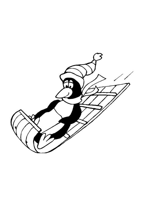 Dibujo para colorear pinguino en trineo