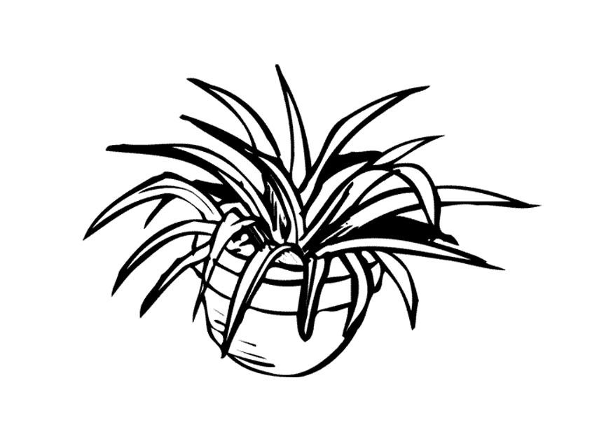 Dibujo para colorear planta de tiesto