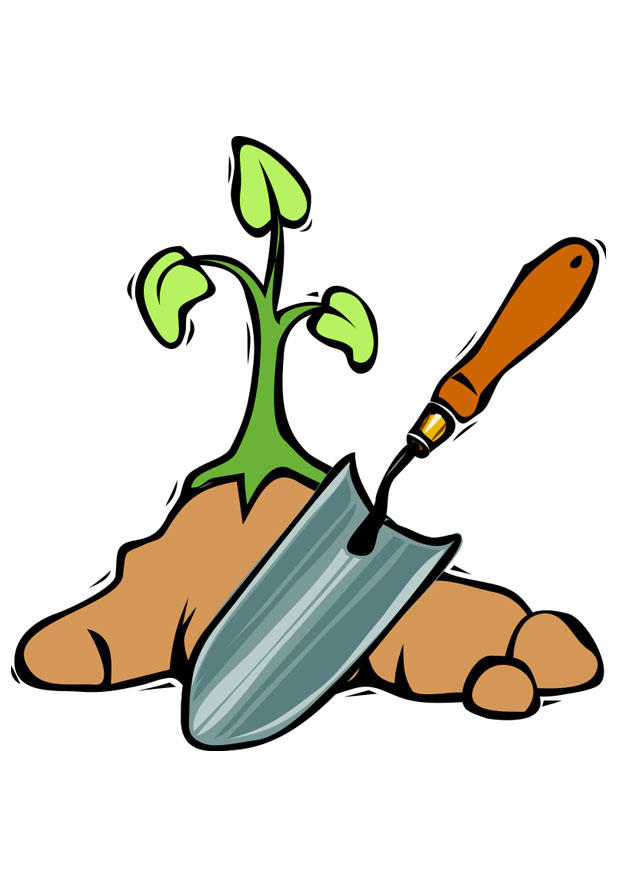 Imagen plantar un A¡rbol