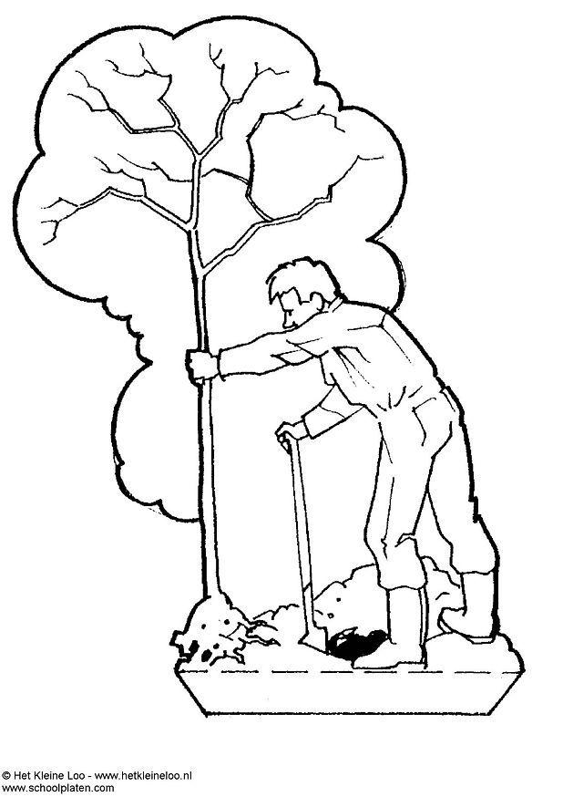 plantar un A¡rbol Manualidades plantar un A¡rbol