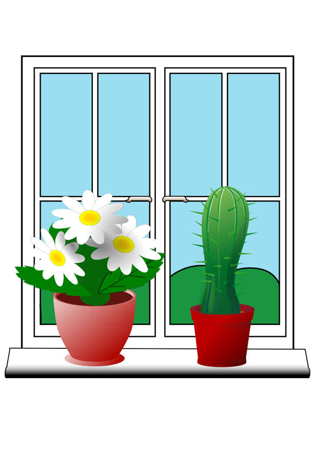 plantas Imagen plantas