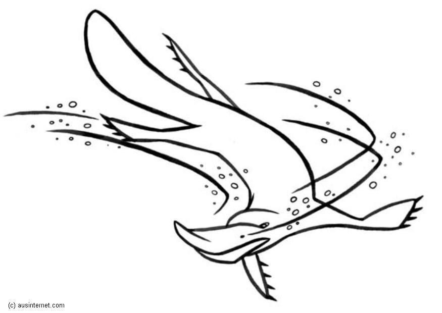 platypus Dibujo para colorear platypus