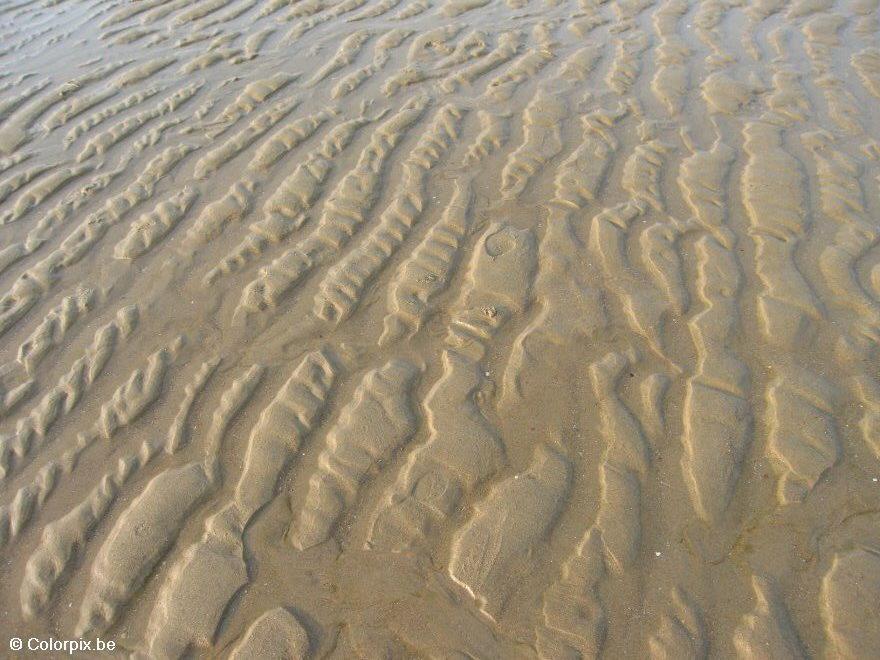 Foto playa
