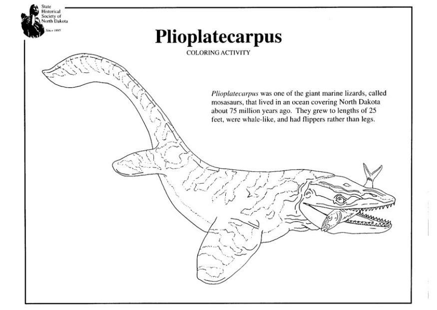 plioplatecarpus Dibujo para colorear plioplatecarpus