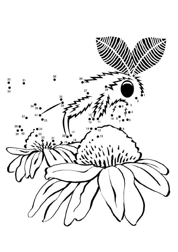 polilla Dibujo para colorear polilla