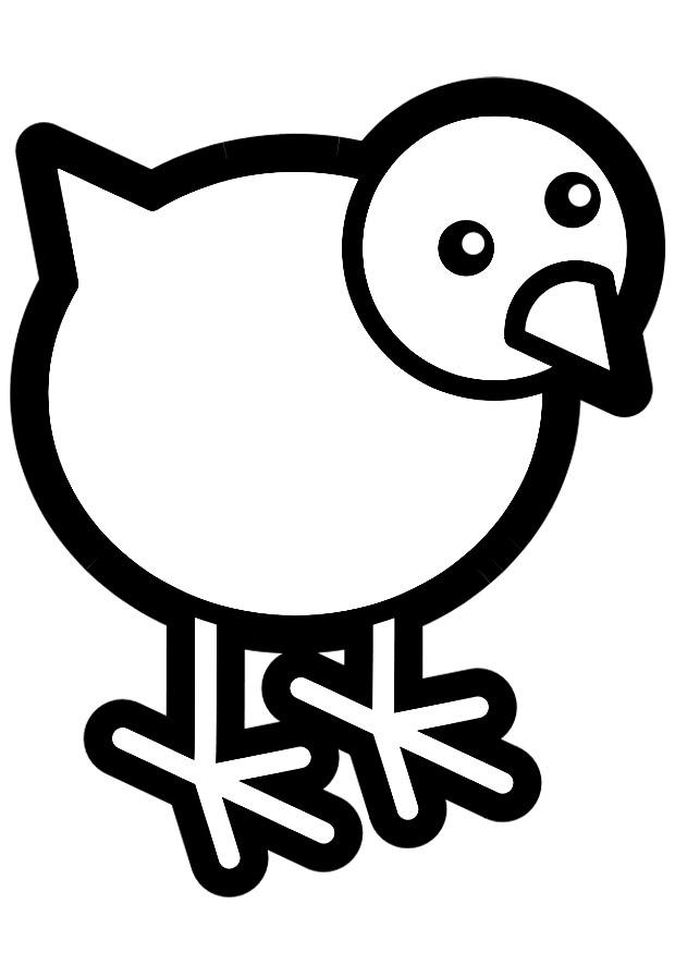 pollito Dibujo para colorear pollito