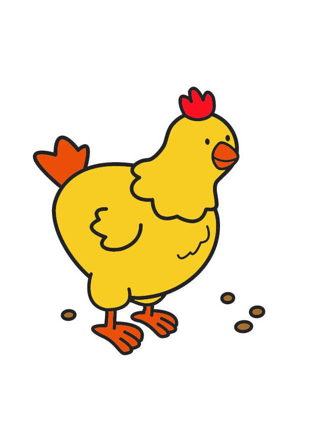 pollo Imagen pollo