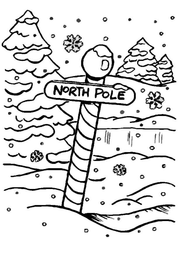 polo norte Dibujo para colorear polo norte