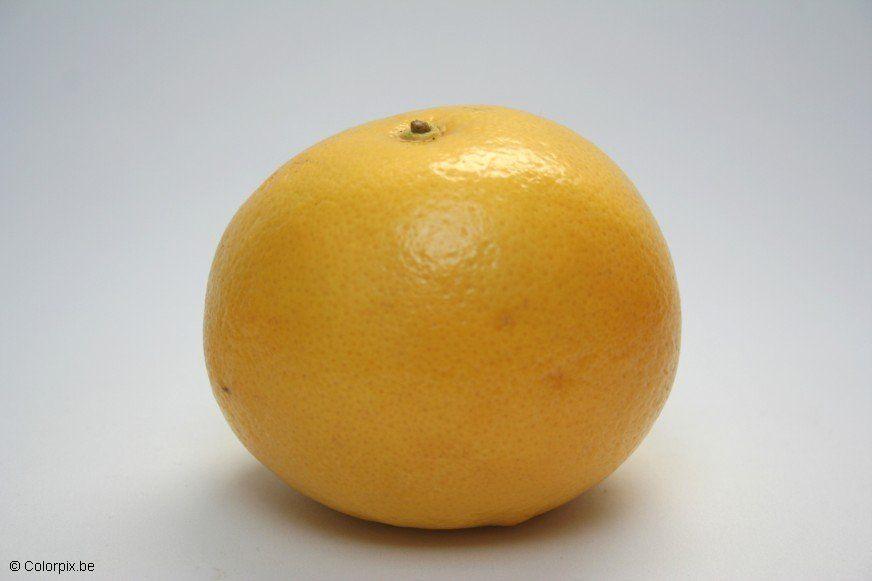pomelos Foto pomelos