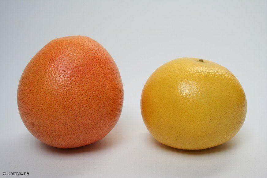 pomelos Foto pomelos