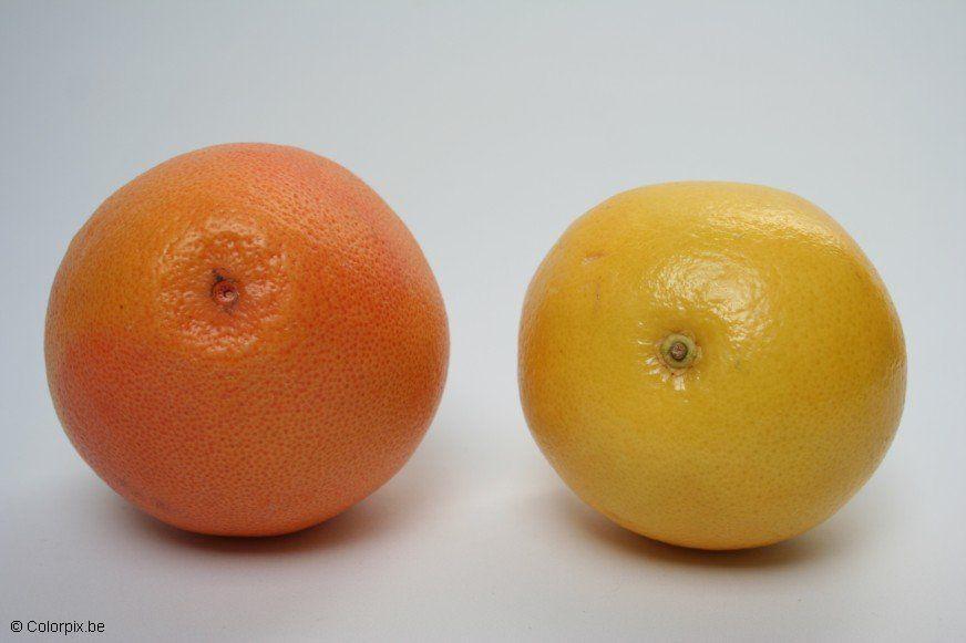 pomelos Foto pomelos