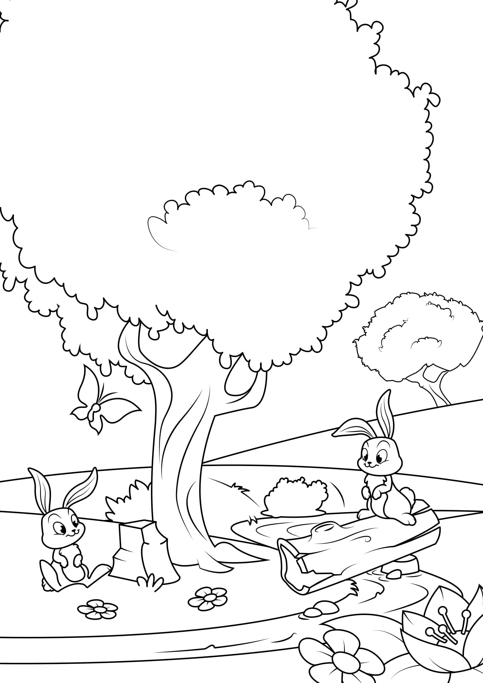 primavera en el bosque Dibujo para colorear primavera en el bosque